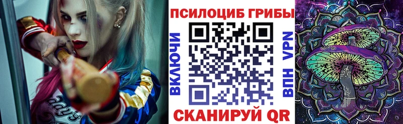 Галлюциногенные грибы GOLDEN TEACHER  Чернушка 